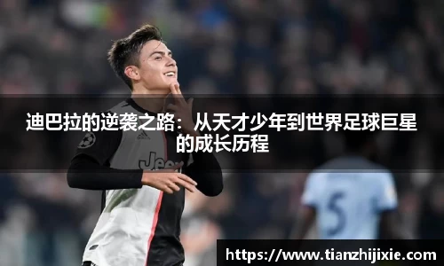 中欧体育官方网站
