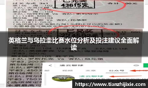 zoty中欧