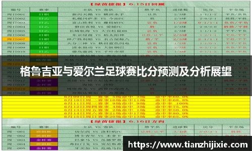 格鲁吉亚与爱尔兰足球赛比分预测及分析展望